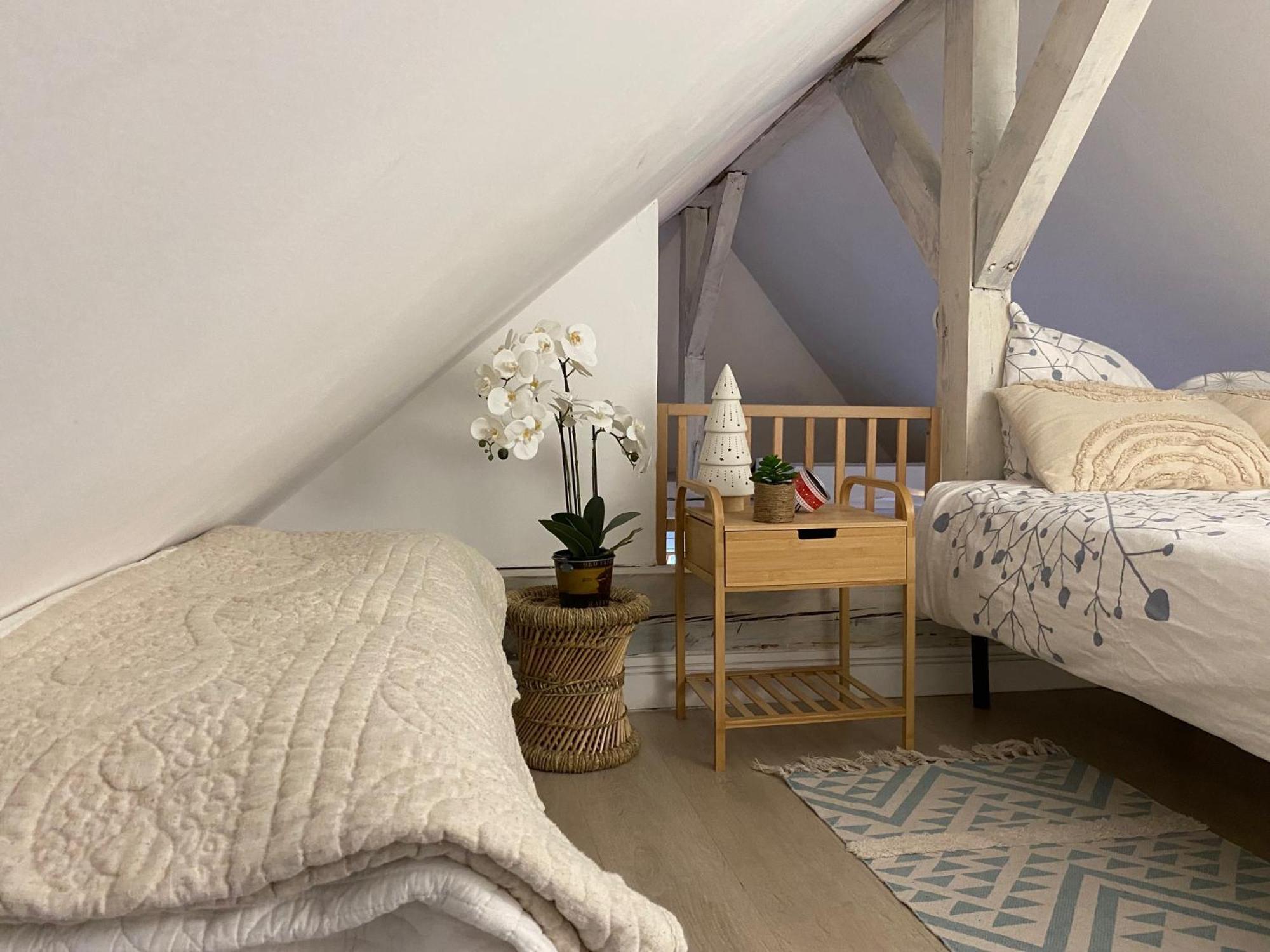 Duplex Spacieux Tout Confort Mulhouse Buitenkant foto
