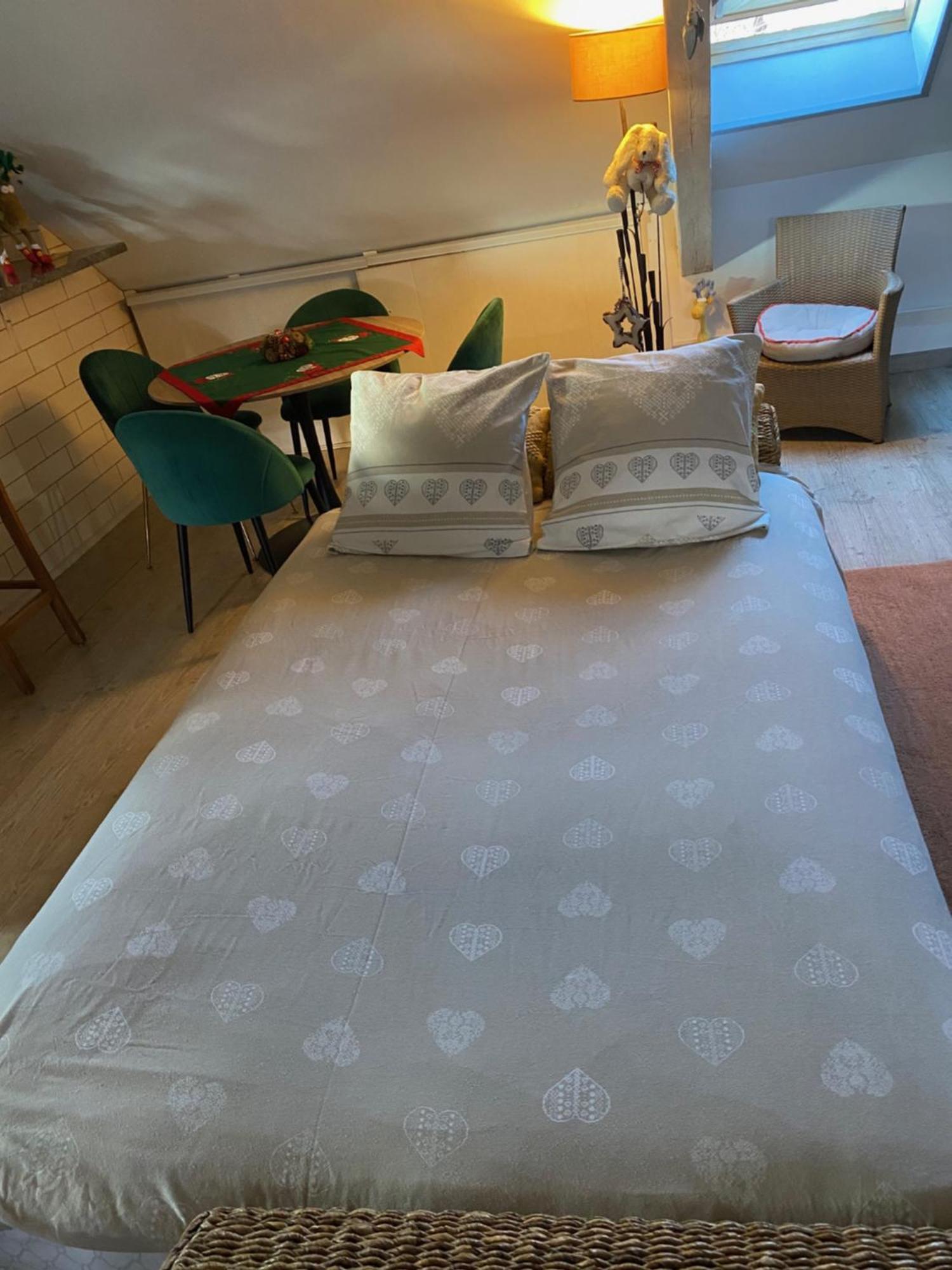 Duplex Spacieux Tout Confort Mulhouse Buitenkant foto