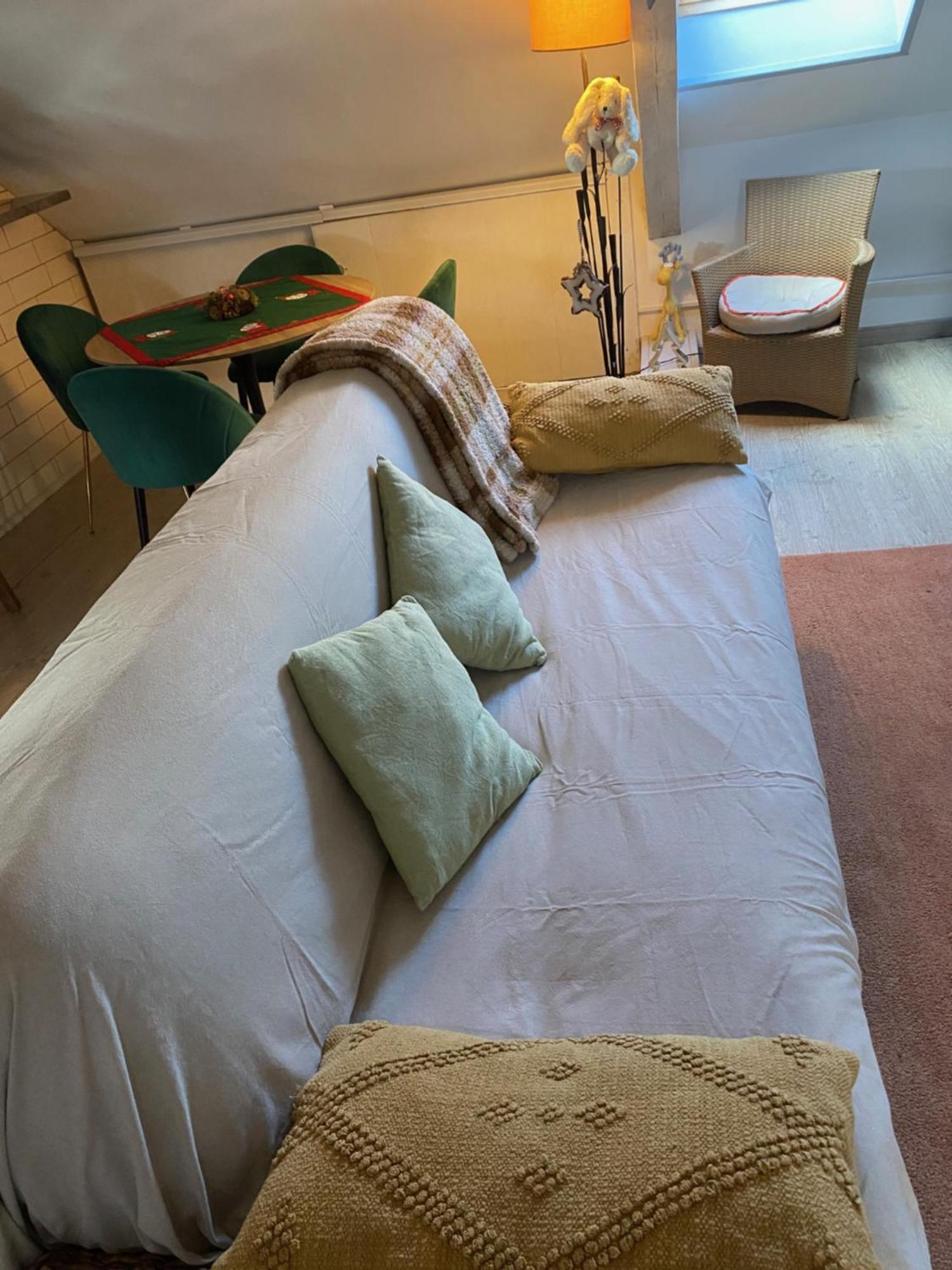 Duplex Spacieux Tout Confort Mulhouse Buitenkant foto